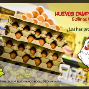 🐓 Huevos provenientes de #gallinas camperas